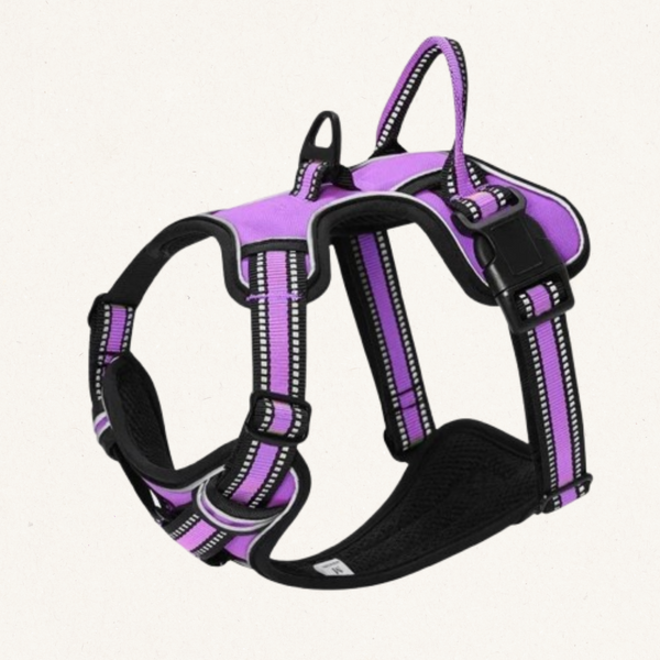 Premium No-Pull Dog Harness