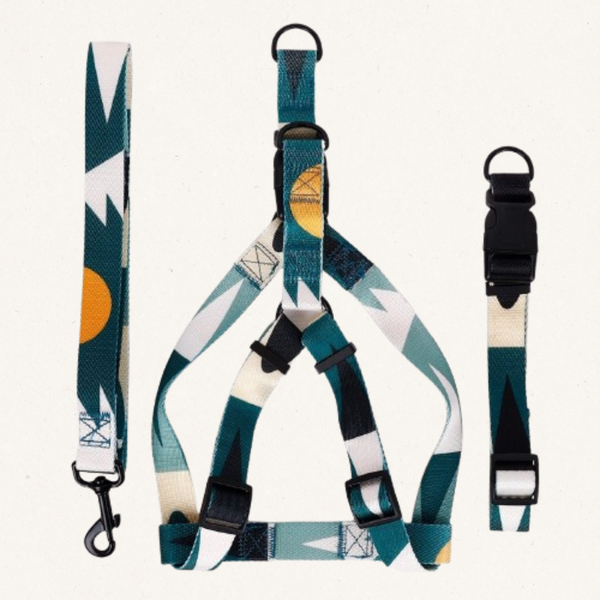 Premium Polyester Dog Leash
