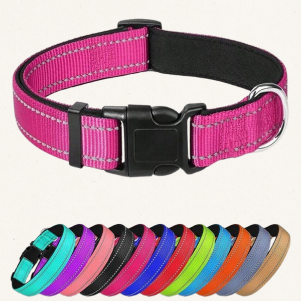 Adjustable Nylon Dog Collar