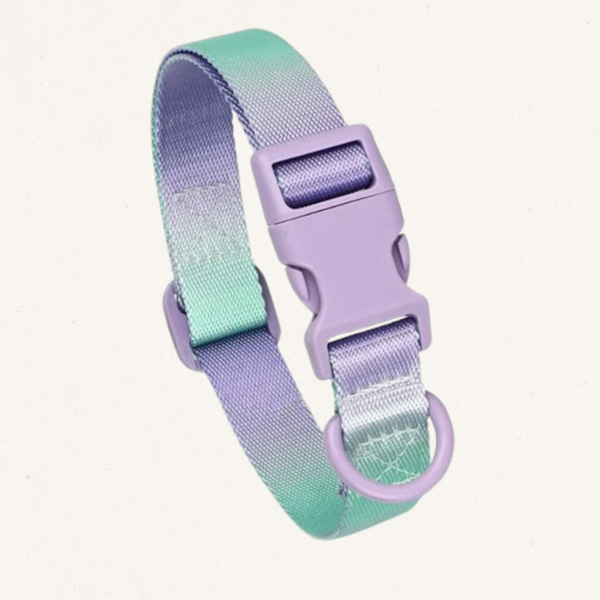 Gradient Nylon Dog Collar