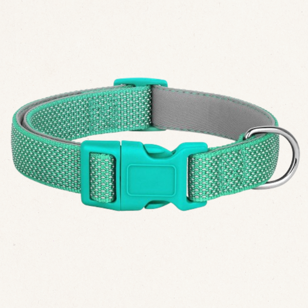 Reflective Nylon Dog Collar
